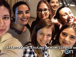 відгуки про LinguaFox фото