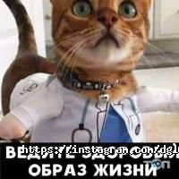Diagnostic Group отзывы фото