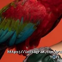 відгуки про Grande production studio фото