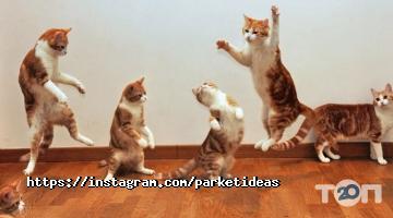 Паркетные идеи, магазин напольных покрытий фото