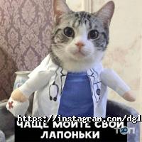 Ветеринарные клиники Diagnostic Group фото