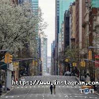 відгуки про Apl Travel фото