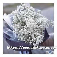 Магазини квітів Квіти & Подарунки фото