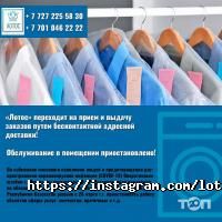 Лотос отзывы фото