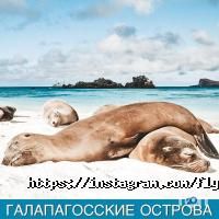 Fly tour відгуки фото