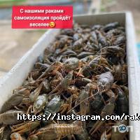 відгуки про Царські раки фото