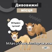 Час поїсти відгуки фото