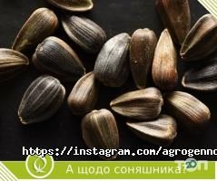 Агроген Ново відгуки фото