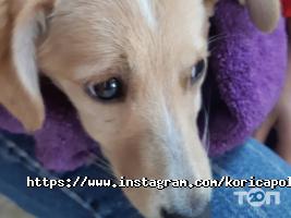 Koriца, танцювальна студія фото