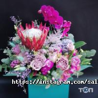 відгуки про Salvia фото