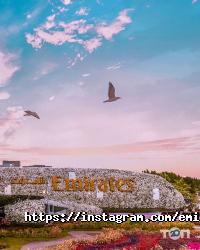 Emirates відгуки фото