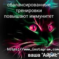 відгуки про Айріс фото