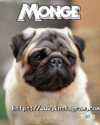 відгуки про Дистриб'юторська фірма фото