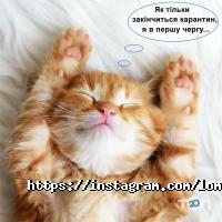 Перший, ломбард фото