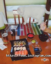 Доставка пиццы, суши и обедов Yoko Sushi фото