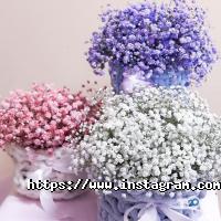 Квіти & Подарунки відгуки фото