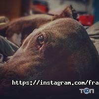 відгуки про Franttini фото