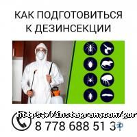 ЦентрГорДез Астана фото