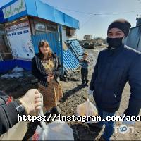 Ассоциация экологических организаций Казахстана отзывы фото