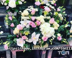 Lavender, квітковий магазин фото