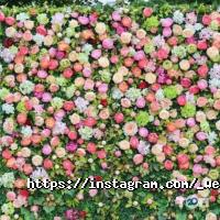 Весільні салони Wedding Market фото