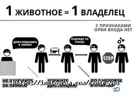 відгуки про Центр клінічної ветеринарії фото