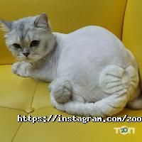 Salon de Beaute отзывы фото