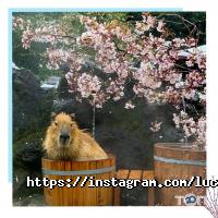 Туристичні агентства, екскурсії Lucky Fly фото