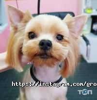 Mimi pets Дніпро фото