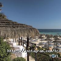 відгуки про Travel Solutions фото