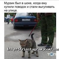 Зоомагазини і послуги для тварин Зоомагазин на Донцова фото