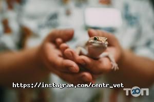 Ветеринарні клініки Центр клінічної ветеринарії фото