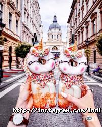 Indi Tour отзывы фото