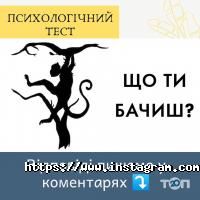 Leader-Ltd Чернівці фото