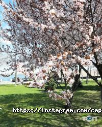 Capsular House, хостел фото