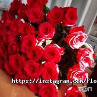 Магазини квітів Floritta фото