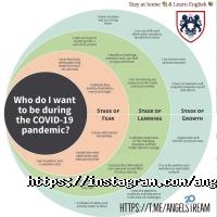 Angelstream отзывы фото