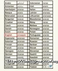 English Studio, школа англійської мови фото
