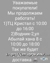 Зоомагазины и услуги для животных Лап-Усик фото