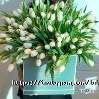 Оформление зала, доставка цветов Flower Lab фото