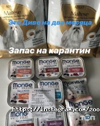 4 лапы отзывы фото