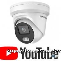 Vector, компанія фото