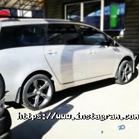 Автозапчастини, автоаксесуари Шипшина фото