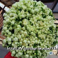 Flority, квітковий магазин фото