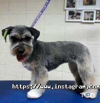 Doktor Zoo, ветеринарна клініка фото