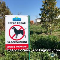 Дайберг відгуки фото