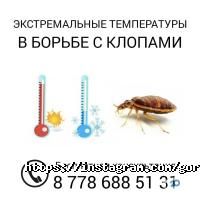 Уборка, клининг ЦентрГорДез фото