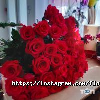 Floritta Дніпро фото