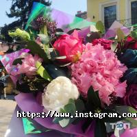 Роза Абрамівна, студія флористики фото