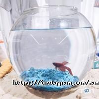 Мамин дом Харьков фото